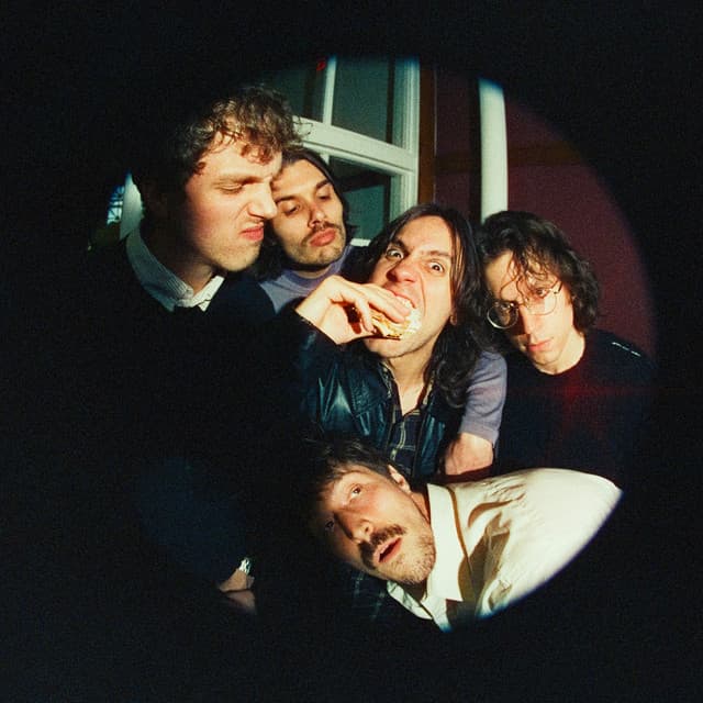 Post Animal thumbnail